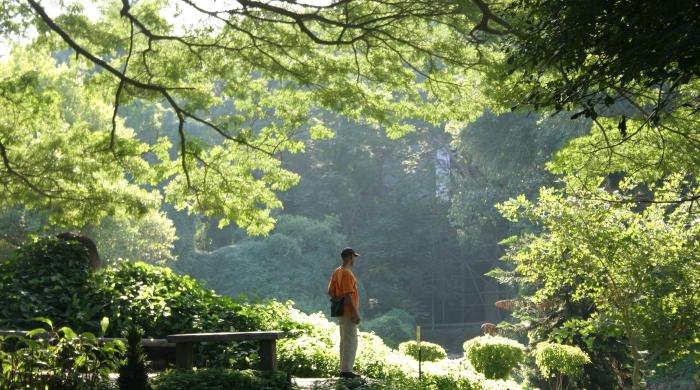 【希少本】イーシャ・ウパニシャッド　存在の鼓動　OSHO 希少本】イーシャ・ウパニシャッド 存在の鼓動 OSHO
